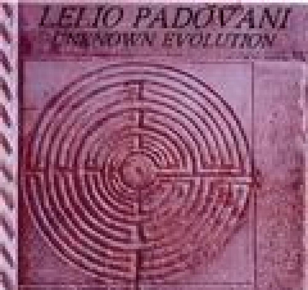 Unknown Evolution - Lelio Padovani